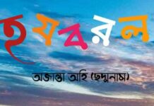 গল্পের নাম:হ-য-ব-র-ল,পর্ব_০৮(শেষ পর্ব)