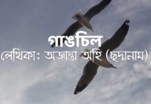 গাঙচিল,পর্ব-১৮ (অন্তিম-২য় বা শেষ খন্ড)