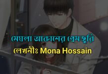 মেঘলা আকাশের প্রেমজুড়ি,পার্টঃ০৫