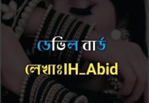 গল্পঃ ডেভিল বার্ড,পর্বঃ_৩ ( শেষ)