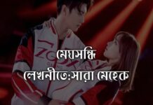 মেঘসন্ধি,পর্ব-১৪ শেষ পর্ব