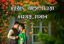 হঠাৎ ঝড়ো হাওয়া,(৩য় এবং শেষ পর্ব)