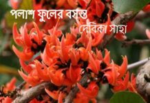 গল্প-পলাশ_ফুলের_বসন্ত💞💞,অন্তিম পর্ব