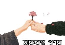অফুরন্ত প্রণয়,১৭ শেষপর্ব