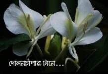 দোলনচাঁপার_টানে,অন্তিম_পর্ব