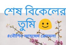 শেষ বিকেলের তুমি❤,part:শেষ পর্ব