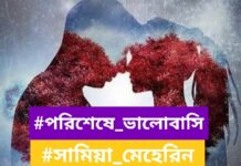 পরিশেষে_ভালোবাসি,শেষ_পর্ব