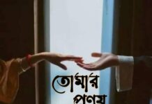 তোমার প্রণয় নগরে,অন্তিম পর্ব