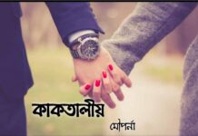 কাকতালীয়,শেষ অধ্যায়