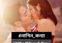 নাগিন_কন্যা ৮ম এবং শেষ পর্ব