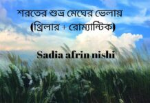 শরতের_শুভ্র_মেঘের_ভেলায়-১৮ সমাপ্তি