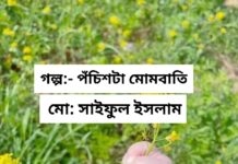 পঁচিশটি_মোমবাতি #পর্ব:- ০৪