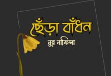 ছেঁড়া বাঁধন পর্ব- ১৬ শেষ