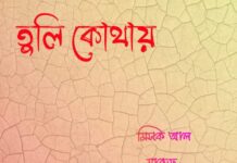 তুলি_কোথায়,৪র্থ_পর্ব (শেষ)
