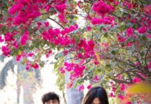 তুমি_আমার_অনেক_শখের(০৫/শেষ পর্ব) #লেখনীতেঃসুমাইয়া_ইসলাম_জান্নাতি